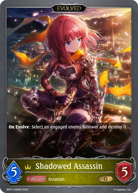Shadowed Assassin