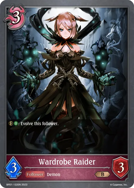 Wardrobe Raider