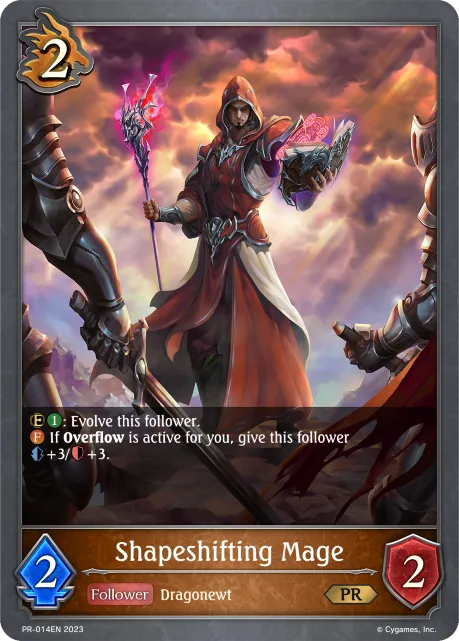 Shapeshifting Mage