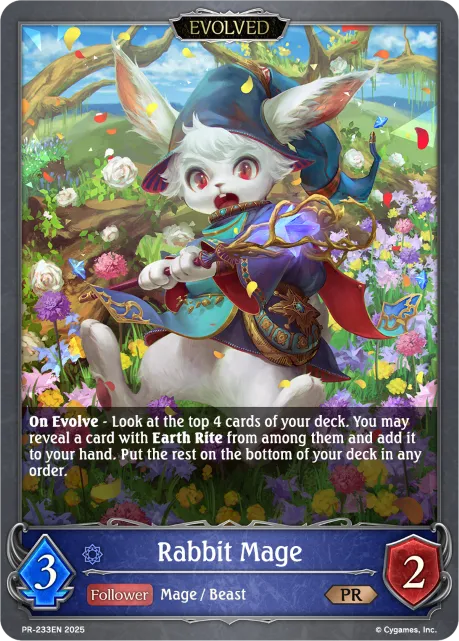 Rabbit Mage