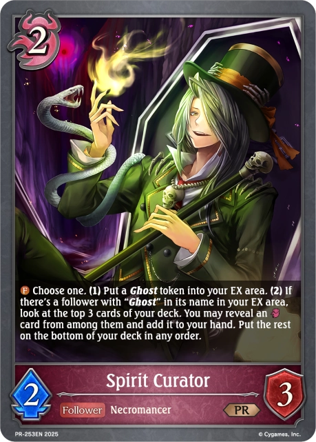 Spirit Curator